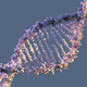 Image for article titled Scientists Have Finally Mapped the Whole Human Genome